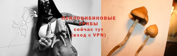 прущая мука Богданович