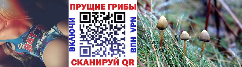 Галлюциногенные грибы Magic Shrooms  купить  сайты  Котово 